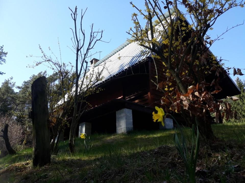 Villa Lesna Polana Górzno Esterno foto