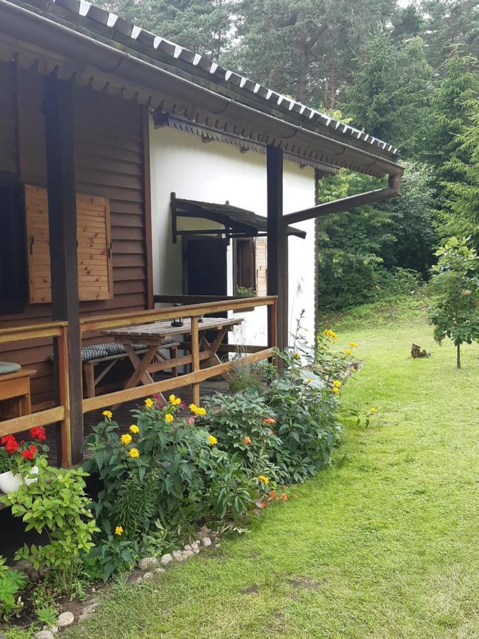 Villa Lesna Polana Górzno Esterno foto
