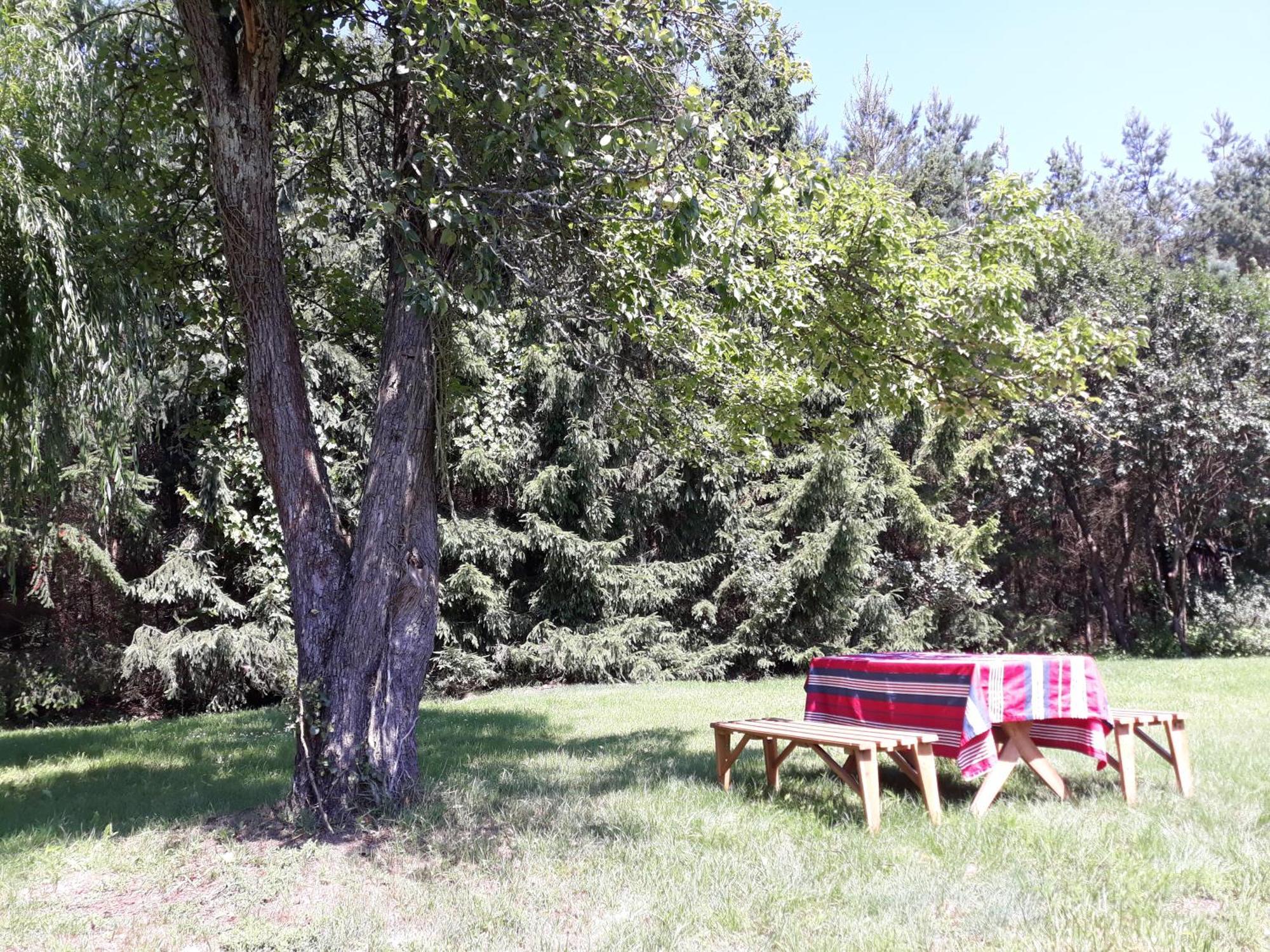 Villa Lesna Polana Górzno Esterno foto